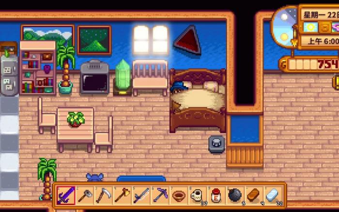 星露谷物语黑商在哪3