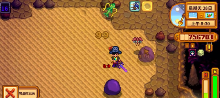 星露谷物语暴击能量是什么3