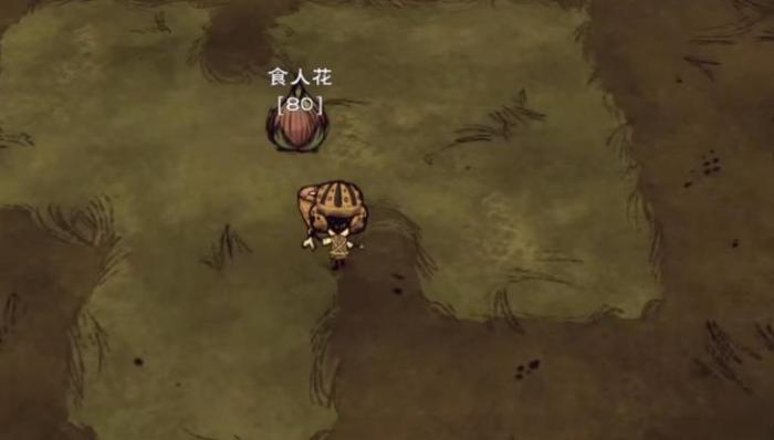 饥荒食人花有什么特性3