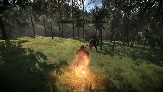 巫师3二周目继承机制介绍1