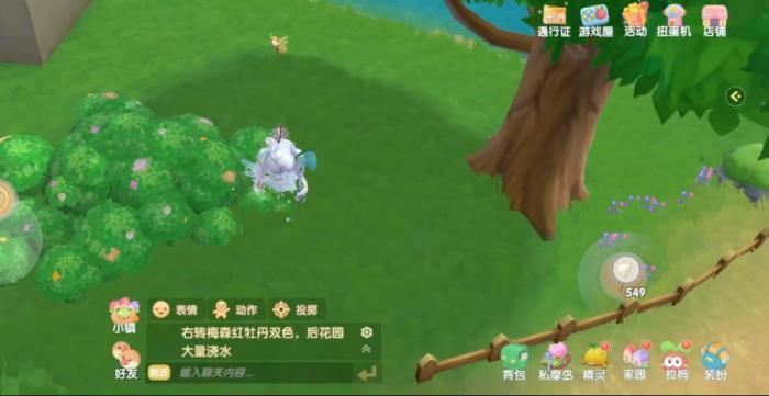 摩尔庄园手游阳光牧场昆虫怎么抓2