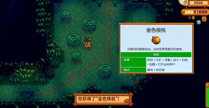 星露谷物语姜岛能干什么3