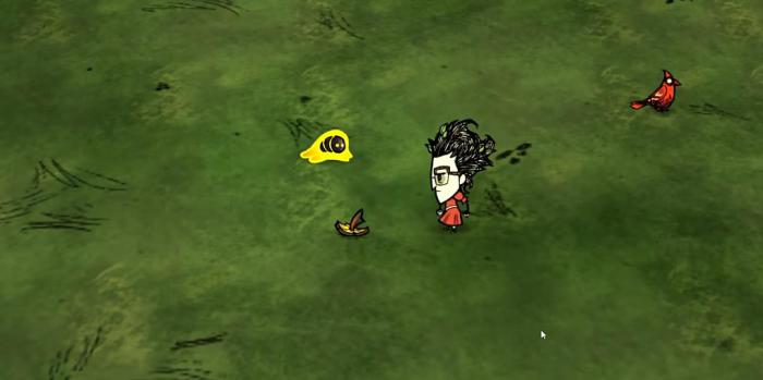 饥荒超级可爱岩浆虫有什么特性1