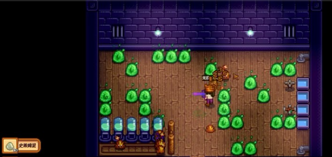 星露谷物语史莱姆屋有哪些玩法1