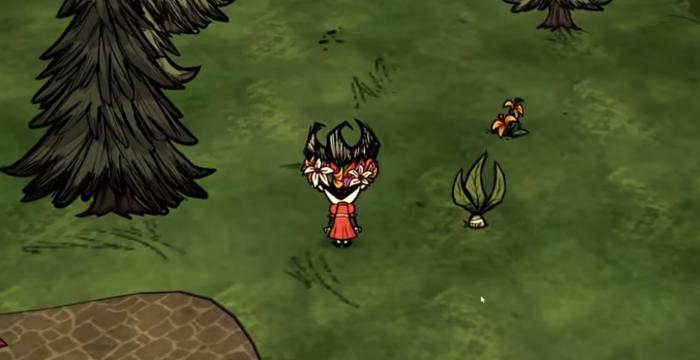 饥荒联机版怎么找曼德拉草2