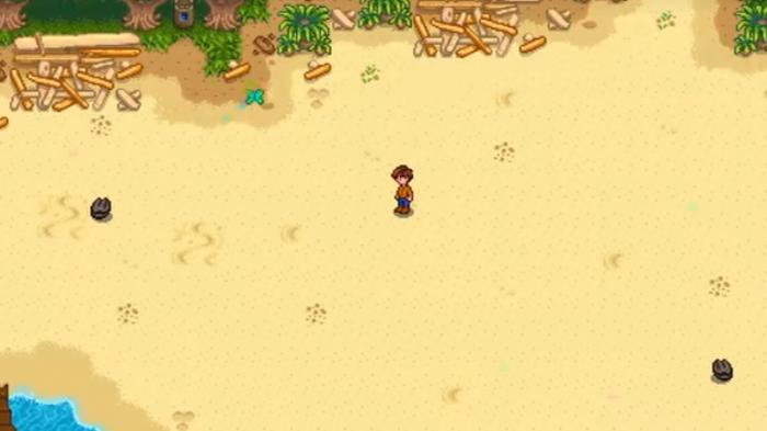 星露谷物语祝福雕像里的蝴蝶祝福在哪2