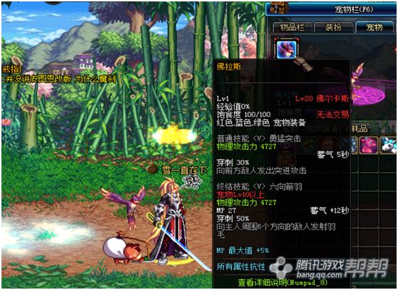 DNF特别宠物礼盒开启惊喜5