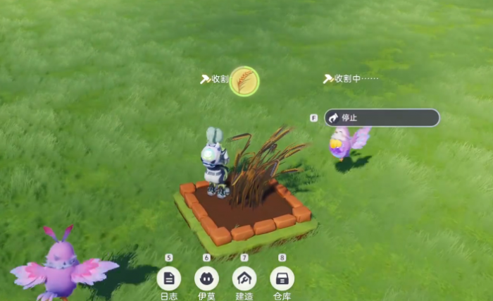 伊莫种菜怎么玩4