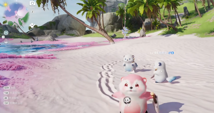 伊莫二测招募条件详解1