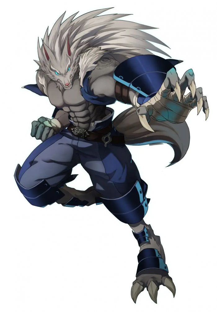 时空猎人觉醒狼叔1