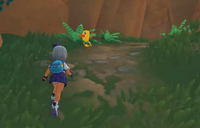 洛克王国世界首发时间1