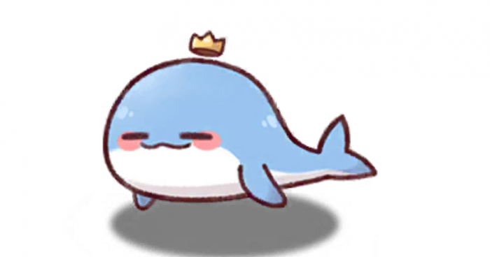 嘟嘟脸恶作剧宠物推荐4