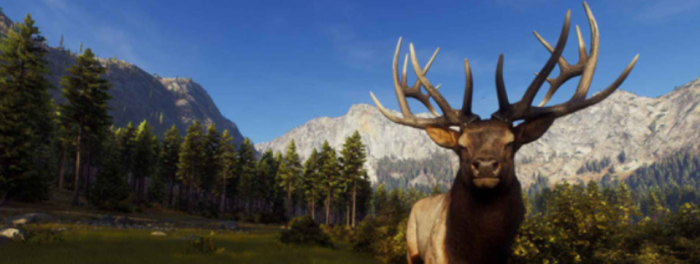 猎人之路打动物什么位置好打1