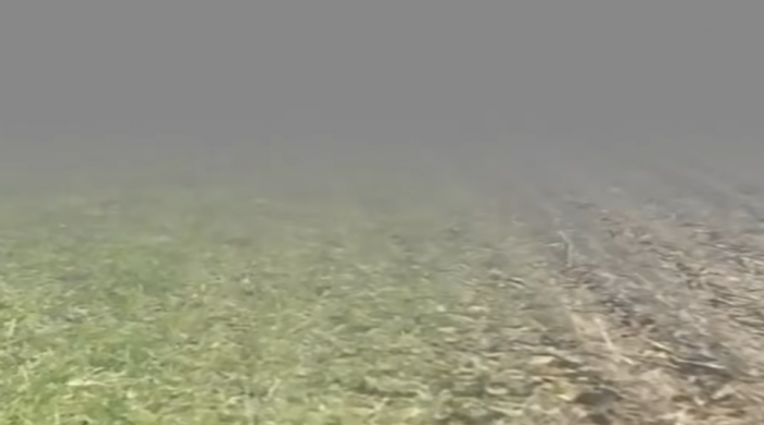 约翰的农场通关全攻略6