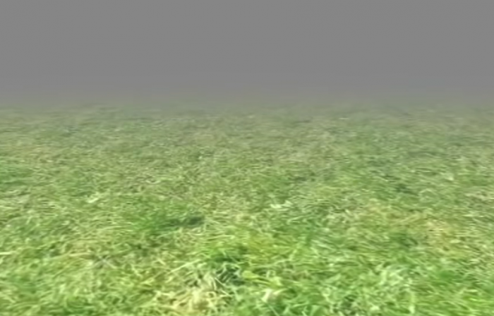 约翰的农场多少钱1