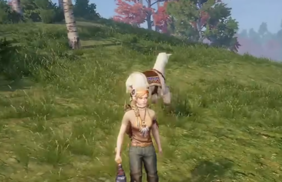 荒原曙光羊驼位置全解析4