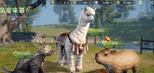 荒原曙光T0宠物推荐1