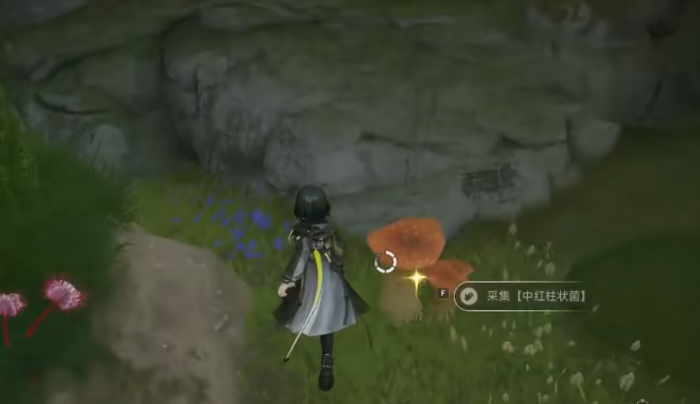 明日方舟终末地大蘑菇获取攻略3