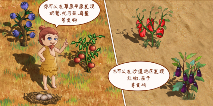 村落人生食物制作全攻略1