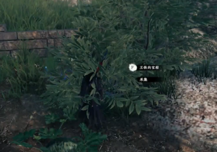 下一站江湖2辟邪石作用解析3