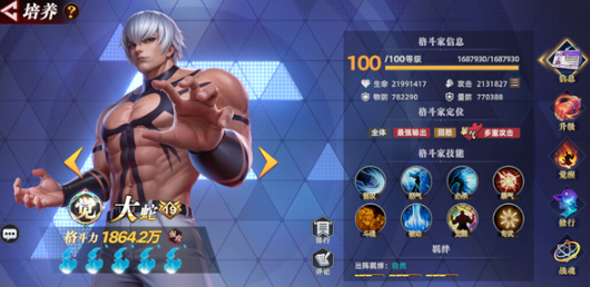 全明星觉醒几月上线4