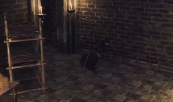 下一站江湖2敲钟攻略2