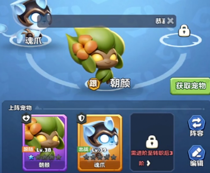 勇者联盟战士带什么宠物好6