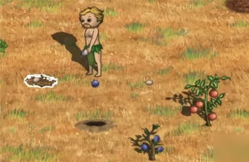 村落人生雨林资源介绍1