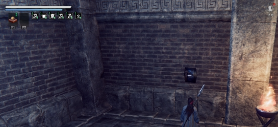 为了吾王纵情狂欢介绍3