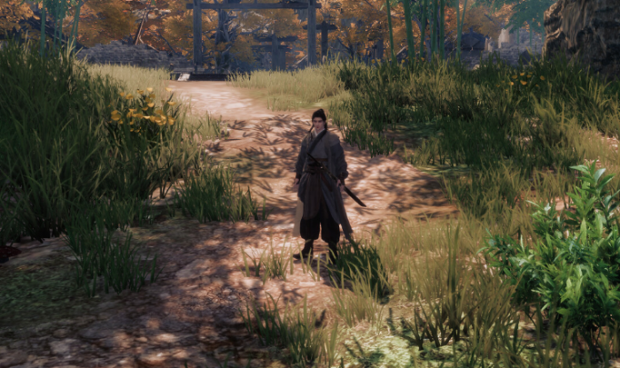 下一站江湖2万宗剑法怎么获取4