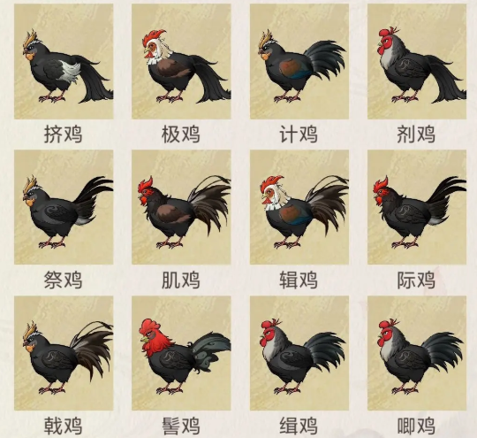 华夏千秋鸡有什么用3