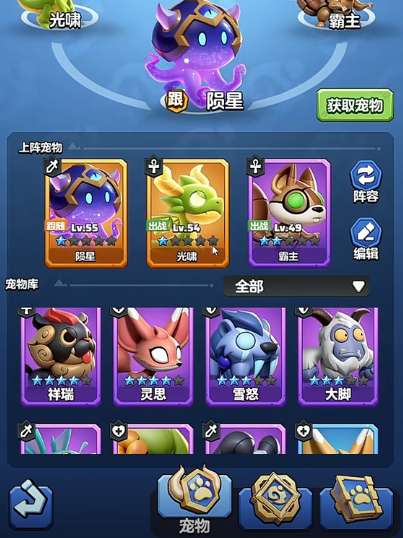 勇者联盟战士宠物搭配推荐1