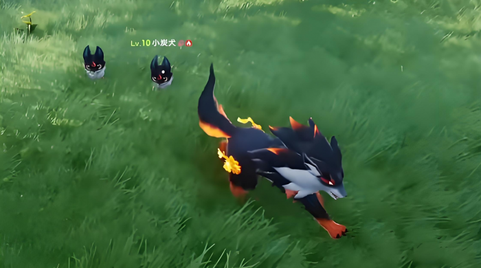 伊莫月辉狐怎么样4