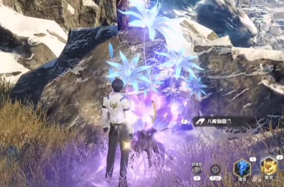 斗罗大陆猎魂世界天斗城仙草怎么获取2