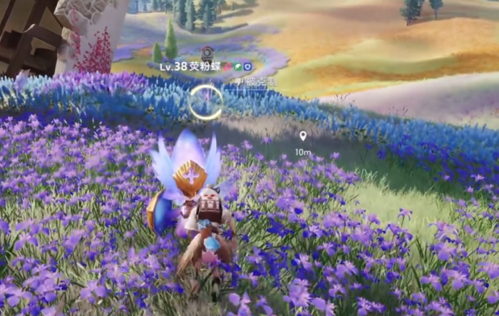 伊莫鸢尾花海地图介绍4