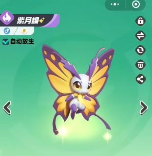 曙光重临0氪最佳阵容怎么搭配6