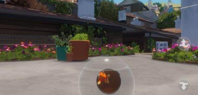 我是小鱼儿新手攻略5