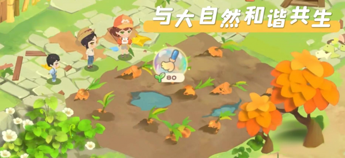 碳碳岛积分如作用是什么2