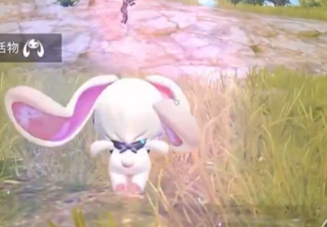 和平精英爆裂萌兔介绍3