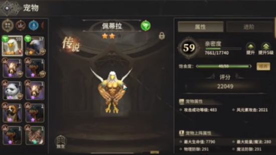 奇迹世界起源战士带什么宠物2