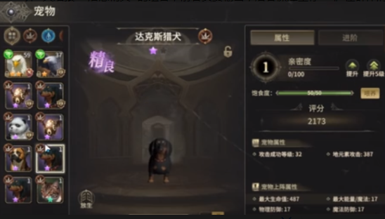 奇迹世界起源战士带什么宠物3