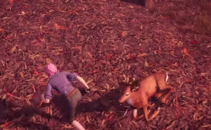 荒原曙光食物怎么做1