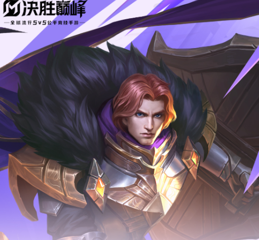 决胜巅峰泰格介绍1