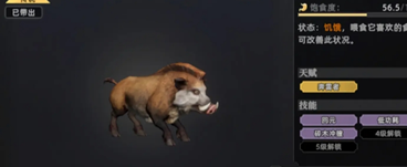 荒原曙光猪坐骑怎么抓2