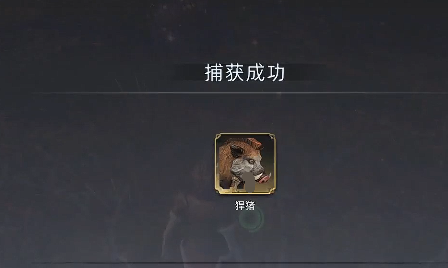 荒原曙光猪坐骑怎么抓5