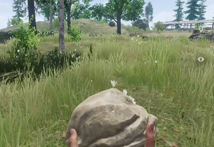 失控进化可以联机吗5