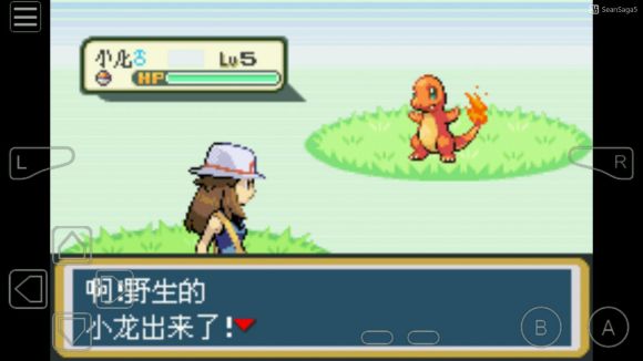 口袋妖怪火红火红版有什么最强的精灵阵容1