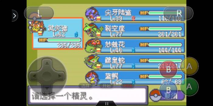 口袋妖怪火红电珠在哪里可以买到呢2