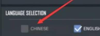 使命召唤怎么设置中文4