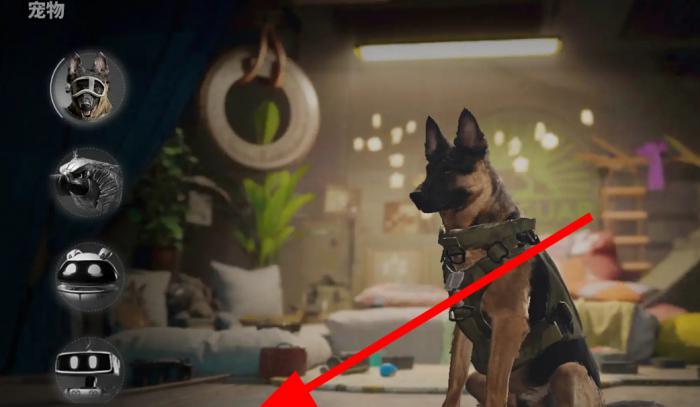 萤火突击怎么领养宠物2